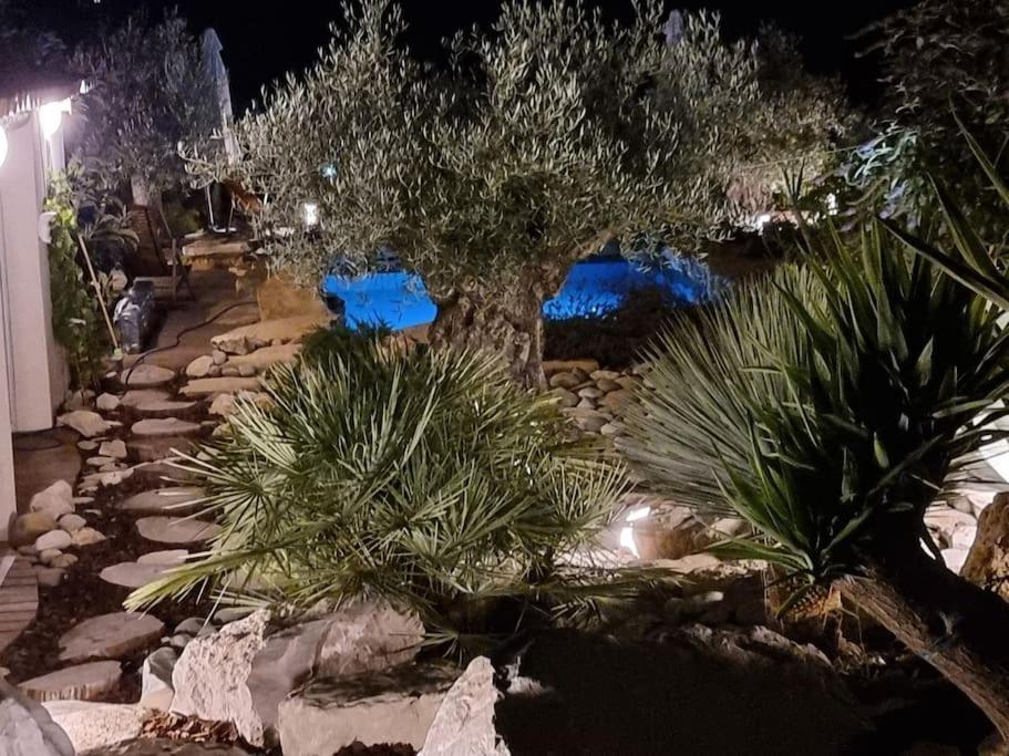 Une Oasis Au Pays De Cezanne Αιξ-αν-Προβάνς Εξωτερικό φωτογραφία