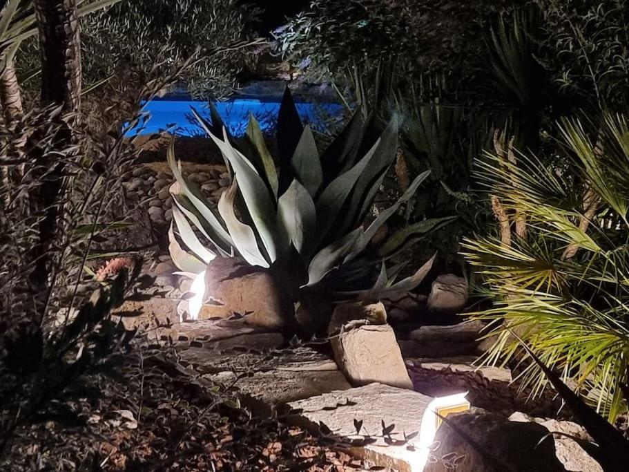 Une Oasis Au Pays De Cezanne Αιξ-αν-Προβάνς Εξωτερικό φωτογραφία